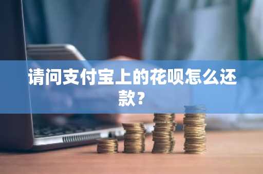 请问支付宝上的花呗怎么还款？