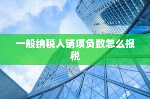 一般纳税人销项负数怎么报税