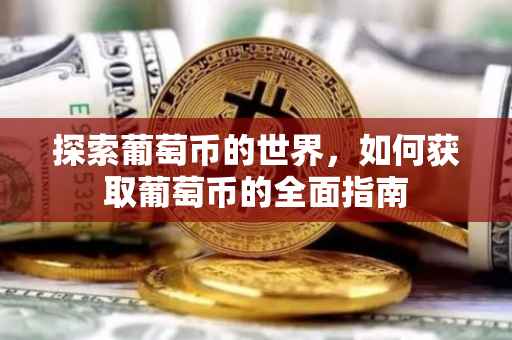 探索葡萄币的世界，如何获取葡萄币的全面指南