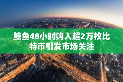 鲸鱼48小时购入超2万枚比特币引发市场关注