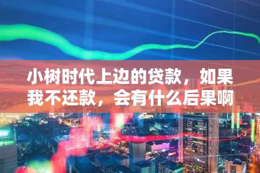 小树时代上边的贷款，如果我不还款，会有什么后果啊？