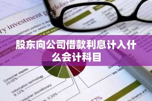 股东向公司借款利息计入什么会计科目