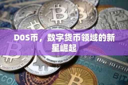 D0S币，数字货币领域的新星崛起