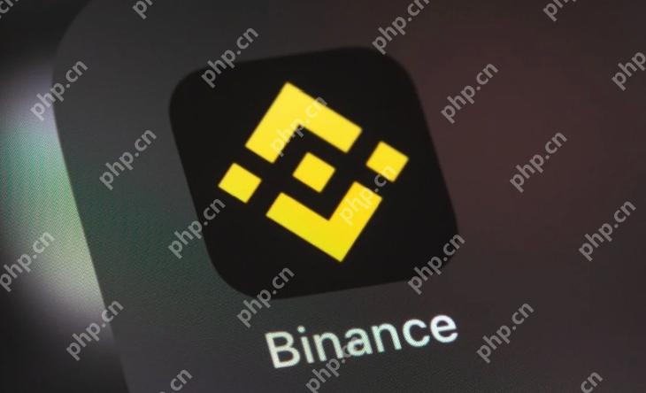 Binance币安交易所最新app下载教程(2025)