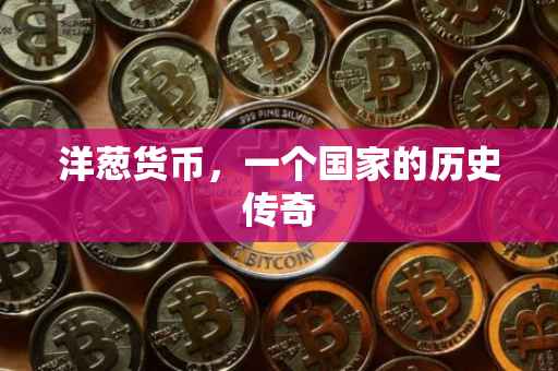 洋葱货币，一个国家的历史传奇