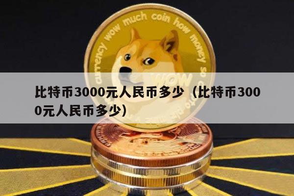 比特币3000元人民币多少（比特币3000元人民币多少）