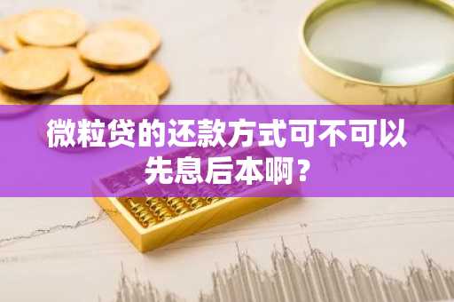 微粒贷的还款方式可不可以先息后本啊？