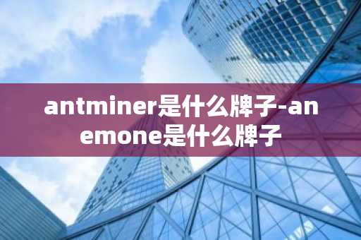 antminer是什么牌子-anemone是什么牌子