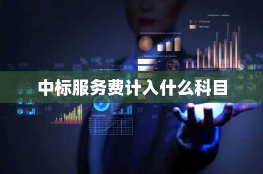 中标服务费计入什么科目