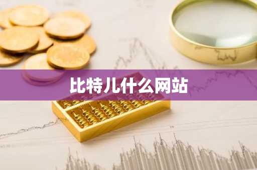 比特儿什么网站