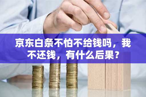 京东白条不怕不给钱吗，我不还钱，有什么后果？