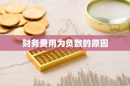 财务费用为负数的原因