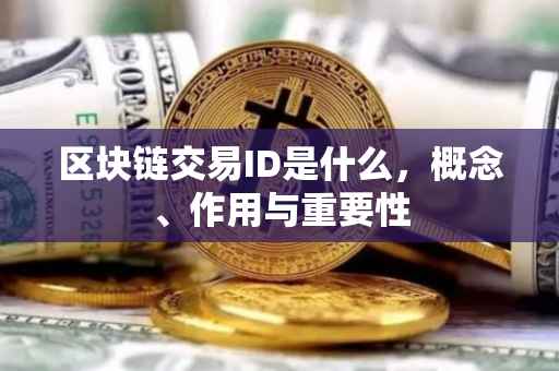 区块链交易ID是什么，概念、作用与重要性