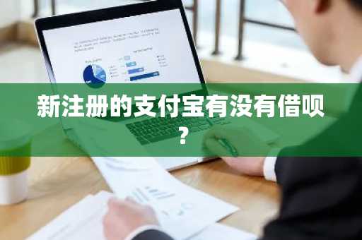 新注册的支付宝有没有借呗？