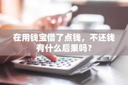 在用钱宝借了点钱，不还钱有什么后果吗？