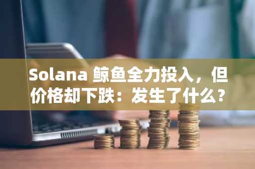 Solana 鲸鱼全力投入，但价格却下跌：发生了什么？