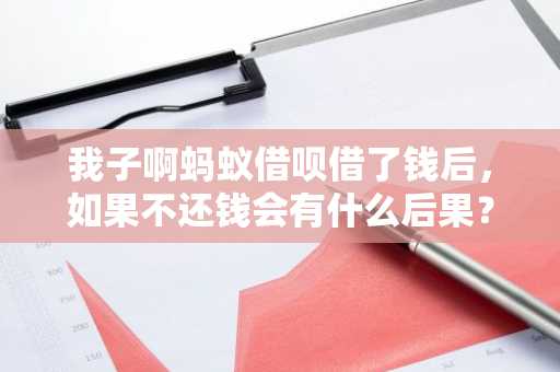 我子啊蚂蚁借呗借了钱后，如果不还钱会有什么后果？