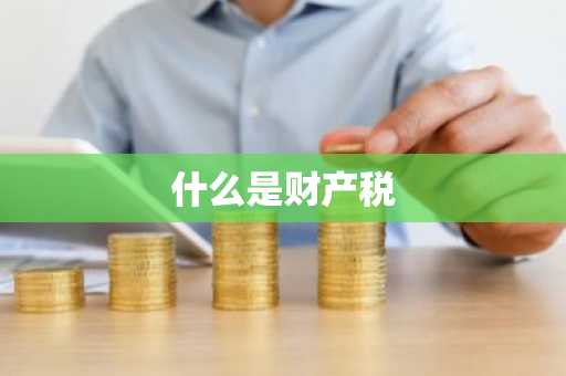 什么是财产税
