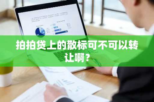拍拍贷上的散标可不可以转让啊？