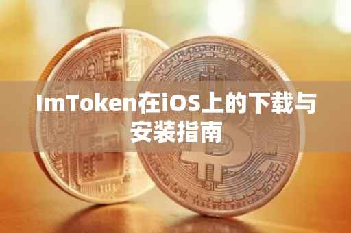 ImToken在iOS上的下载与安装指南