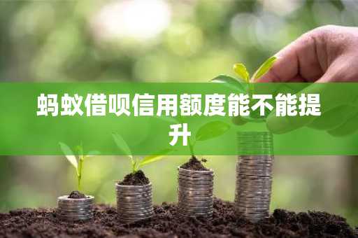 蚂蚁借呗信用额度能不能提升