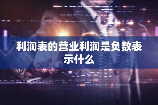 利润表的营业利润是负数表示什么