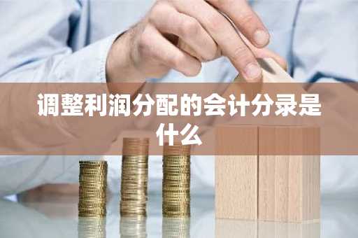 调整利润分配的会计分录是什么
