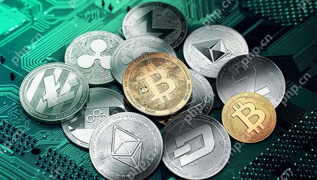 最新炒币十大交易平台推荐 2025年炒币交易所前十权威排行