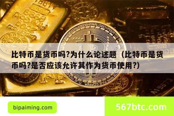 比特币是货币吗?为什么论述题（比特币是货币吗?是否应该允许其作为货币使用?）