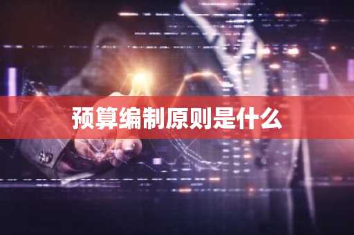 预算编制原则是什么