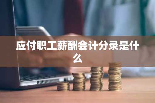 应付职工薪酬会计分录是什么