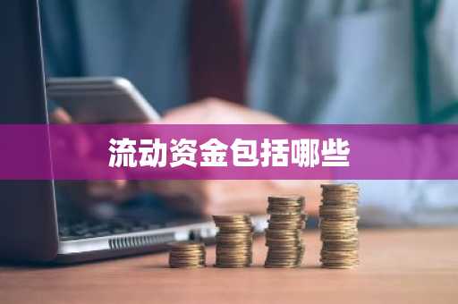 流动资金包括哪些