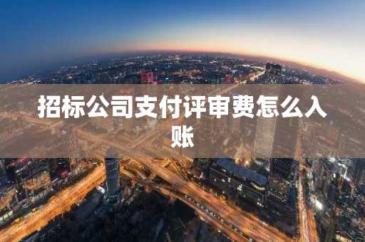 招标公司支付评审费怎么入账