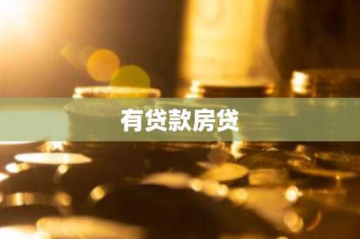 有贷款房贷