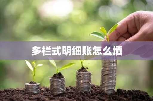 多栏式明细账怎么填