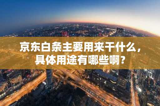 京东白条主要用来干什么，具体用途有哪些啊？