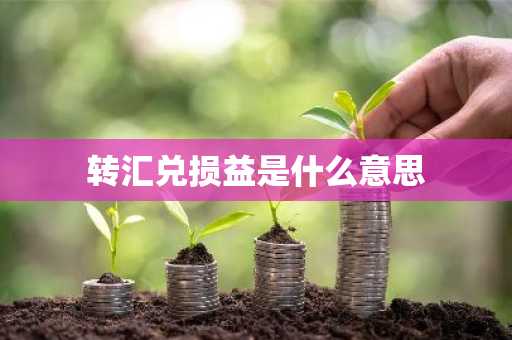 转汇兑损益是什么意思