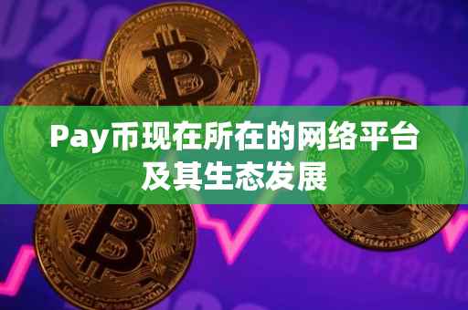 Pay币现在所在的网络平台及其生态发展