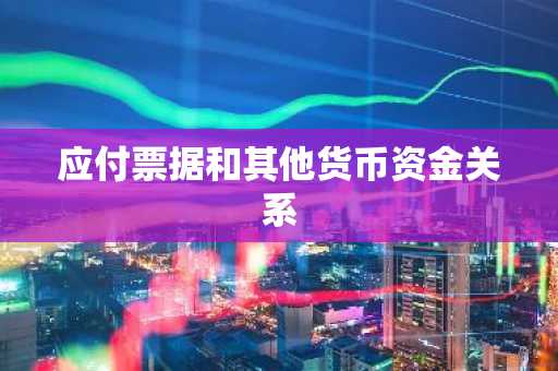 应付票据和其他货币资金关系
