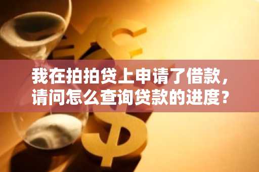 我在拍拍贷上申请了借款，请问怎么查询贷款的进度？