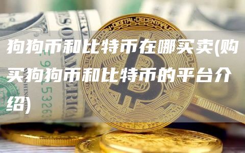 狗狗币和比特币在哪买卖 - 购买狗狗币和比特币的平台介绍