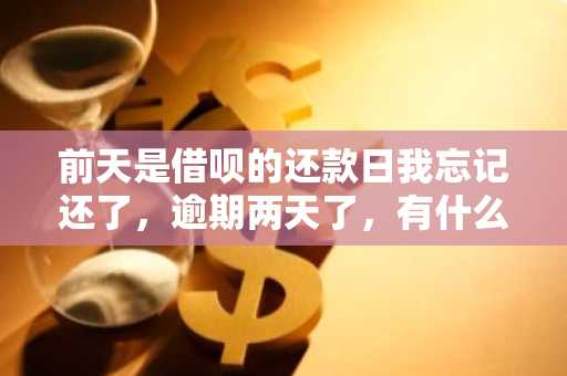 前天是借呗的还款日我忘记还了，逾期两天了，有什么影响？
