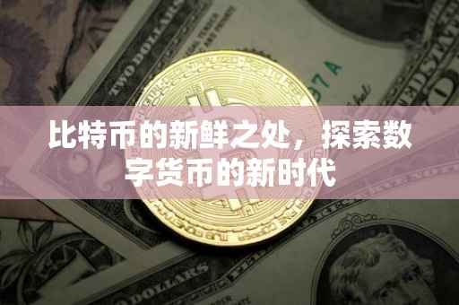 比特币的新鲜之处，探索数字货币的新时代