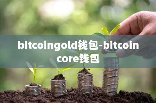 bitcoingold钱包-bitcoincore钱包