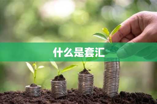 什么是套汇