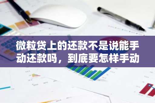 微粒贷上的还款不是说能手动还款吗，到底要怎样手动还款啊？