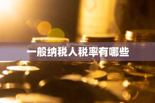 一般纳税人税率有哪些