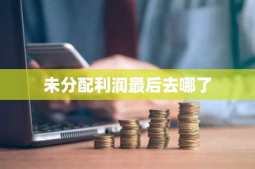 未分配利润最后去哪了