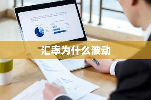汇率为什么波动