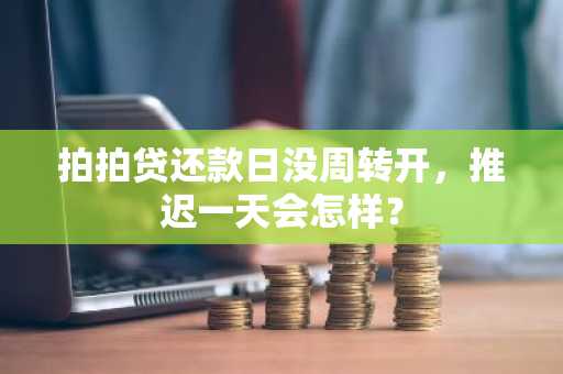 拍拍贷还款日没周转开，推迟一天会怎样？